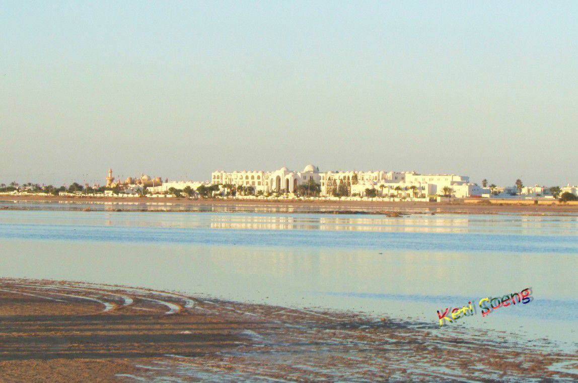 Animación y descanso en  las playas de la isla de Djerba y paseos a caballo o en dromedario por  el lago salado.