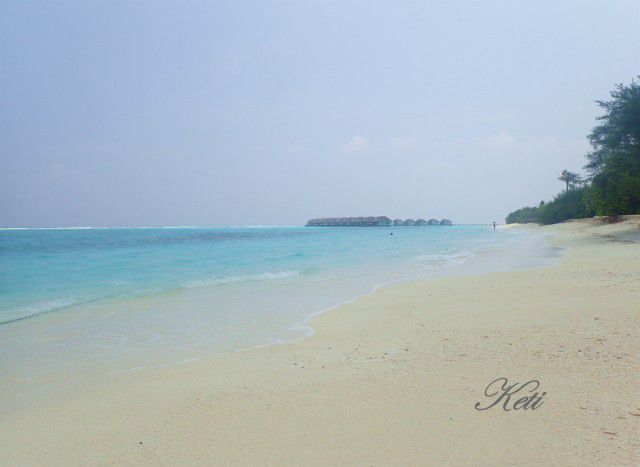 Imágenes de Islas: Maldivas, el mundo feliz de los atolones. Y Sri Lanka, antigua Ceylán.