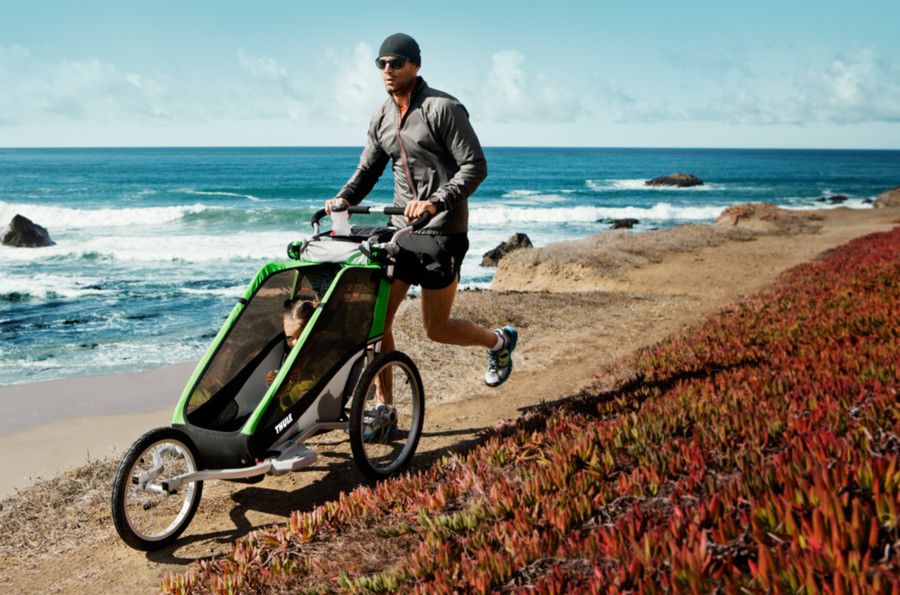 chariot thule cheetah 1