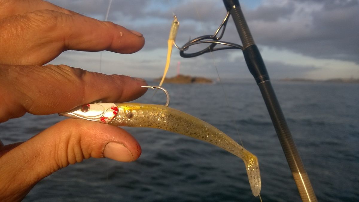 IEBTAWN 1 Pièce Leurres De Pêche En Haute Mer Coulants