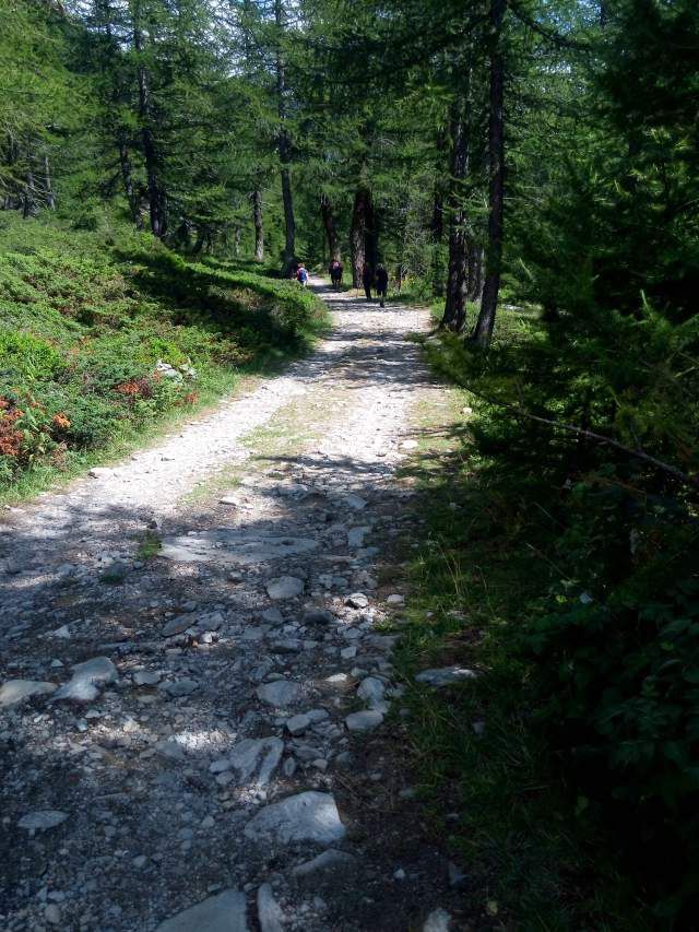 Val Bognanco - Anello di Trekking dal rifugio San Bernardo al rifugio Gattascosa