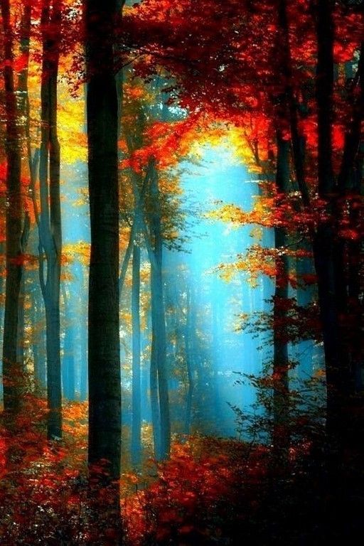 La beauté est partout dans la nature (42 Photos)