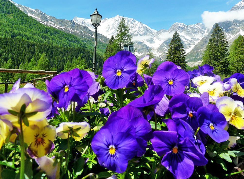 15 AGOSTO A MACUGNAGA CON IL CENTRO DONNA – LODI