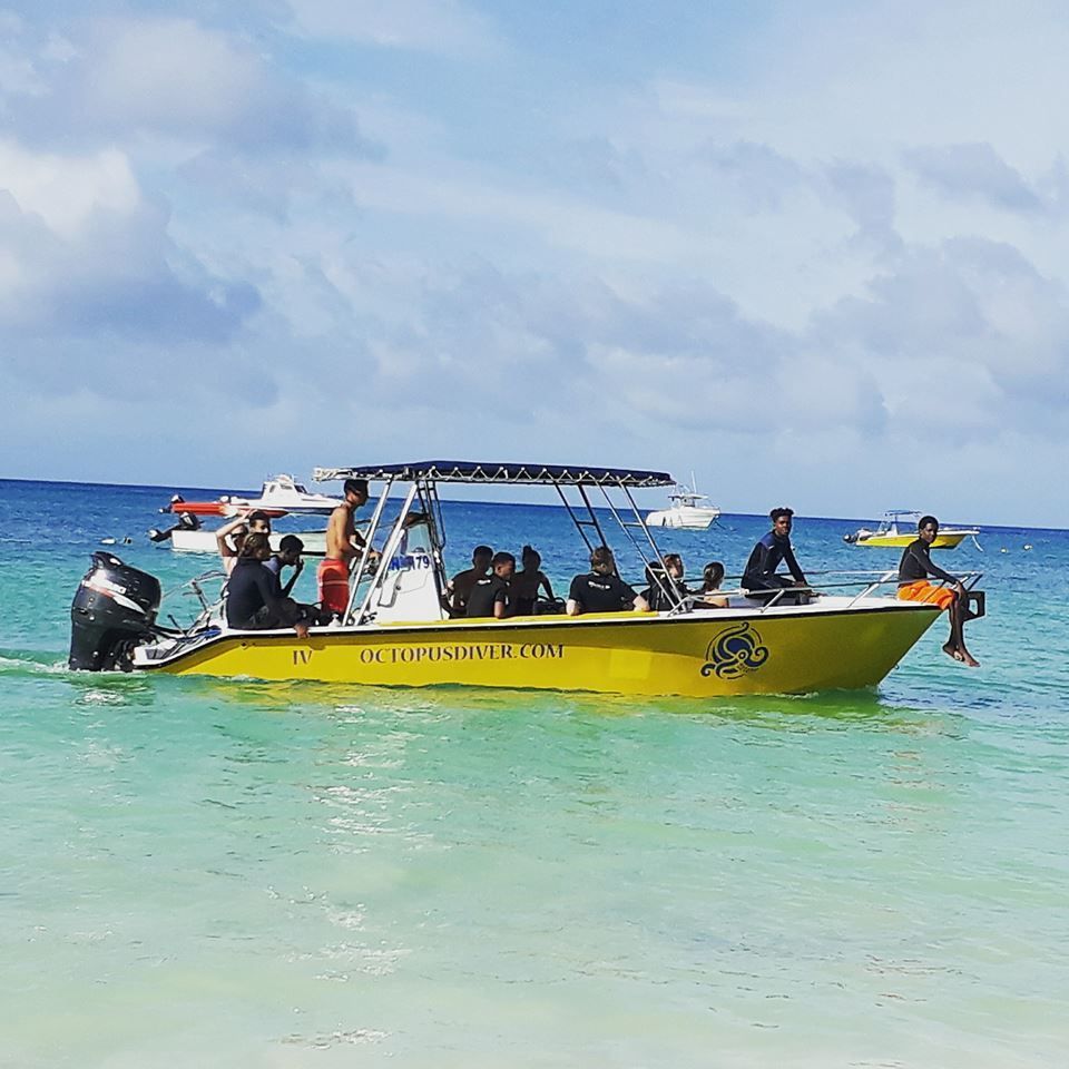 Bienvenue sur le blog d'OCTOPUS DIVER PRASLIN Le blog d'Octopus Diver