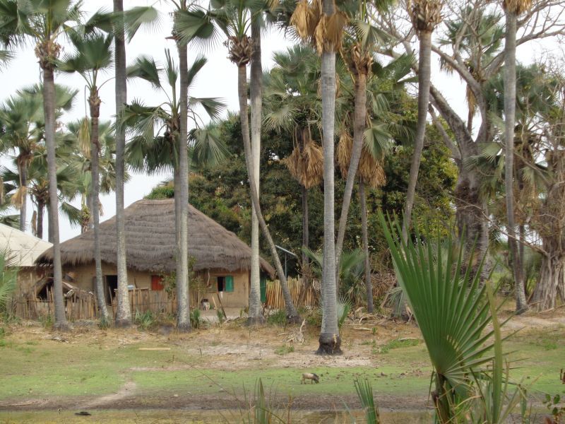 La Casamance, paisible, authentique et généreuse