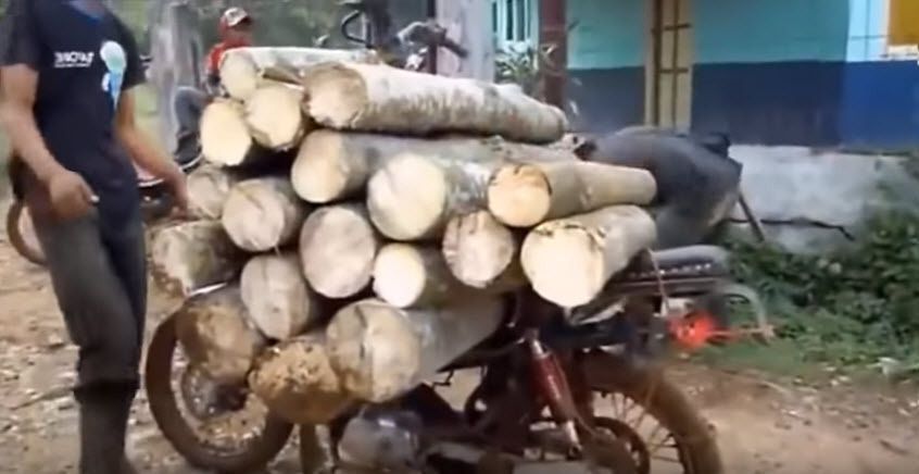 Outil fendeur buches - fendeuse bois - splitz all - good n useful - Bois à fendre