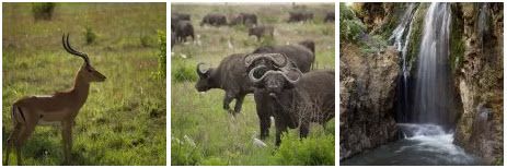 OBJECTIF TANZANIA agence spécialisée dans les safaris sur mesure en Tanzanie - Afrique