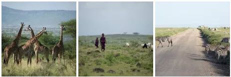 OBJECTIF TANZANIA agence spécialisée dans les safaris sur mesure en Tanzanie - Afrique