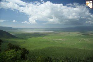 OBJECTIF TANZANIA agence spécialisée dans les safaris sur mesure en Tanzanie - Afrique