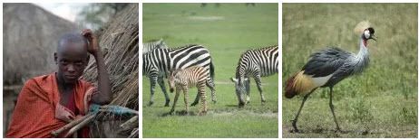 OBJECTIF TANZANIA agence spécialisée dans les safaris sur mesure en Tanzanie - Afrique