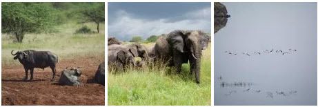 OBJECTIF TANZANIA agence spécialisée dans les safaris sur mesure en Tanzanie - Afrique