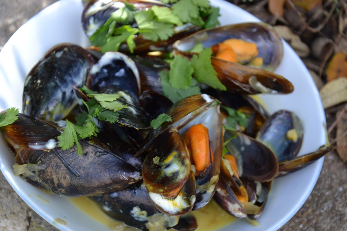 MOULES AU CURRY AU COOKEO 6 💚3💙💜 - KANISETTE