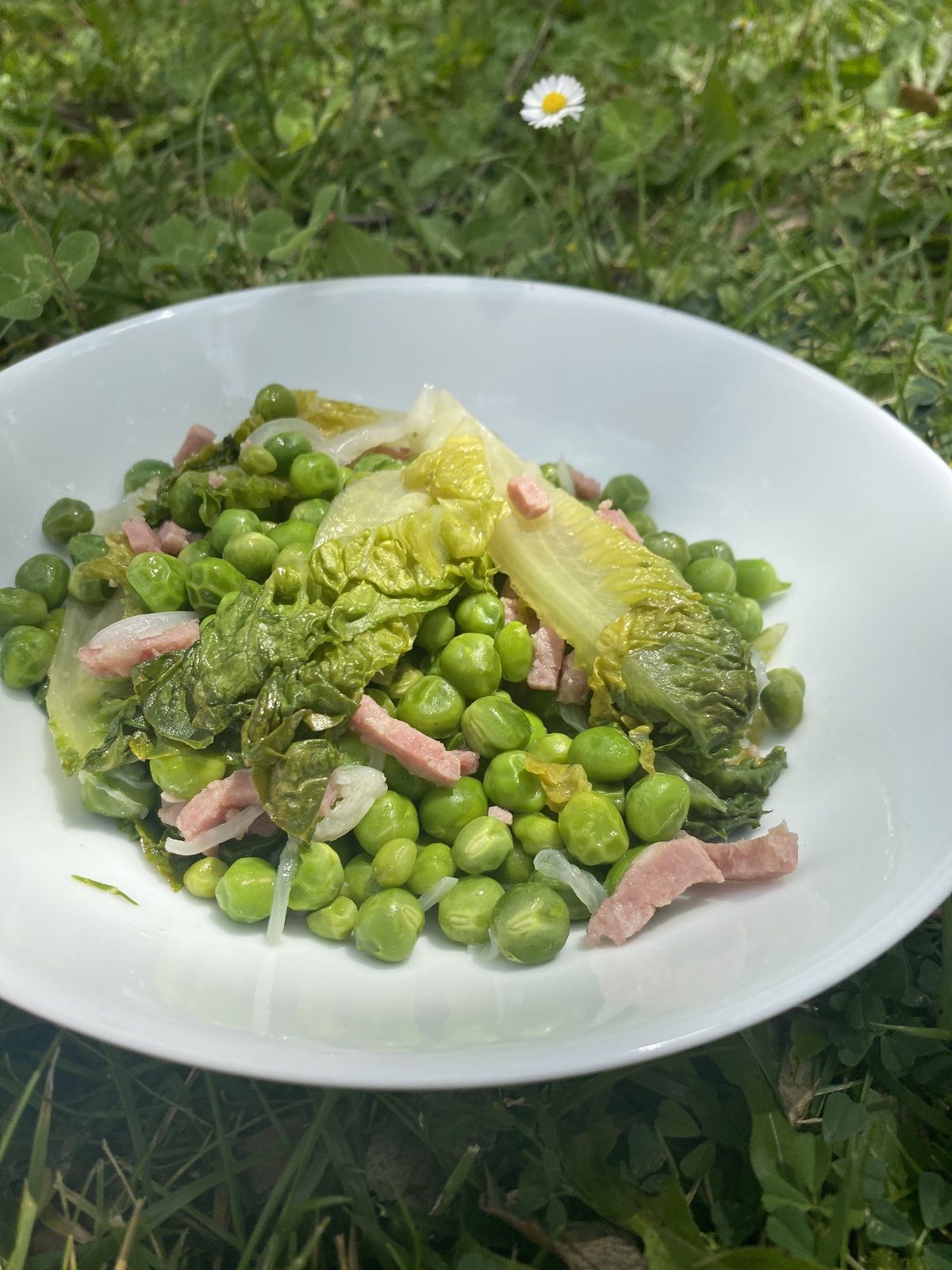 Petit Pois à La Française Thermomix PETITS POIS A LA FRANÇAISE LIGHT AVEC THERMOMIX 2 - KANISETTE