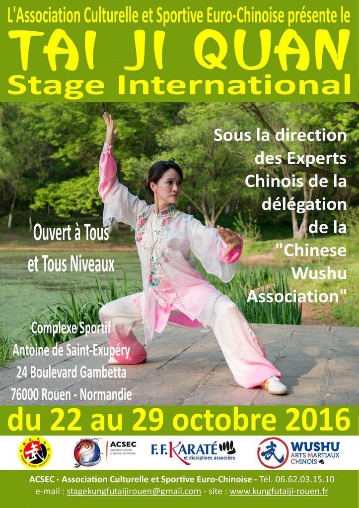 Stage international de Tai Ji Quan à Rouen - Kung-fu Paris I La passion des  Arts martiaux chinois