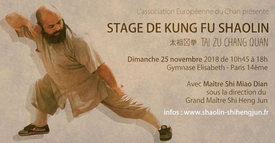 Stage Kungfu Shaolin // Tai Zu Chang Quan