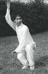 Maitre Wong Tun Kuen // Bagua Zhang (Pakua) - Kung-fu Paris I La passion  des Arts martiaux chinois