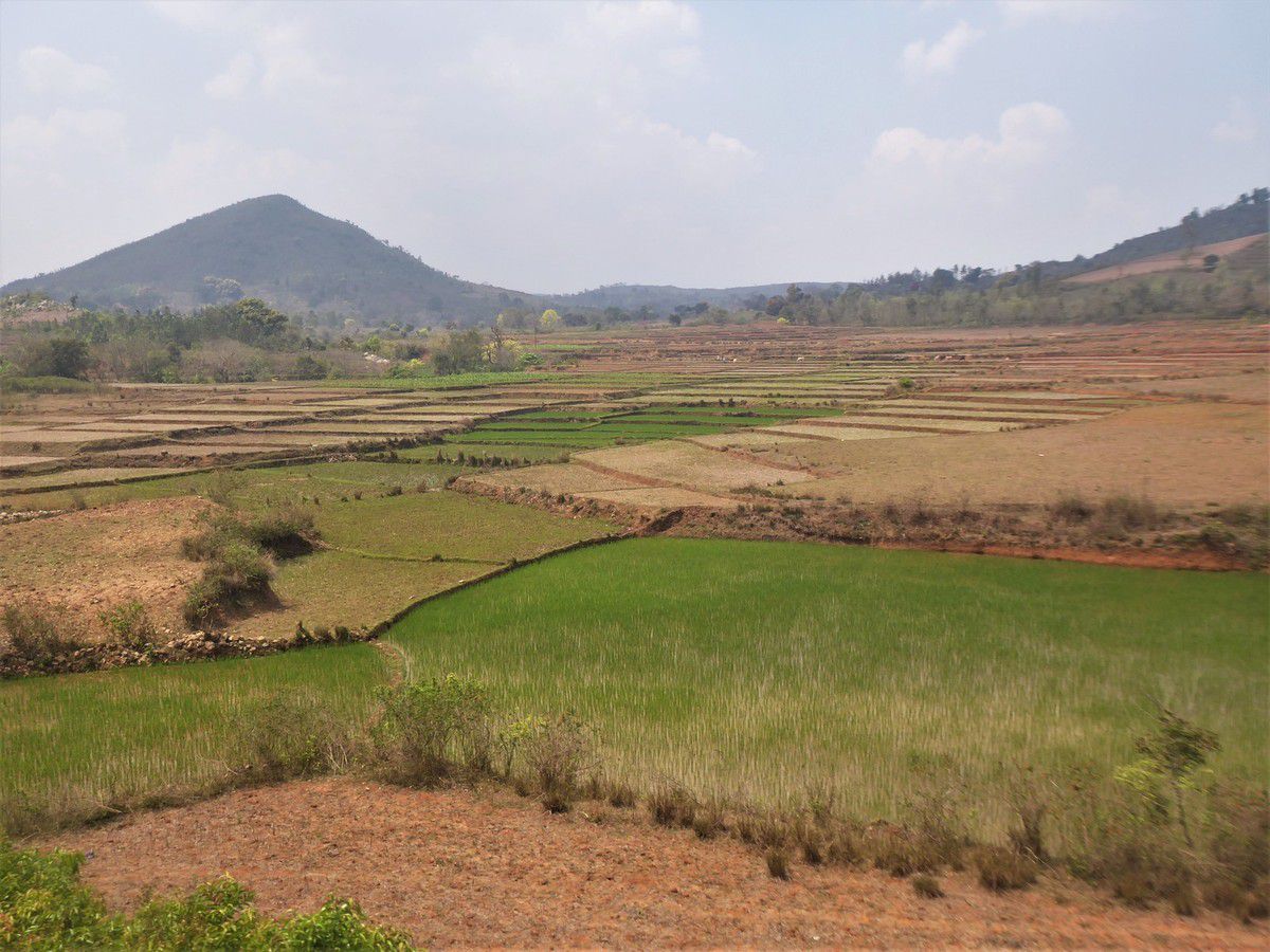 Visakhapatnam (2) ... Excursion en train dans la vallée d'Araku