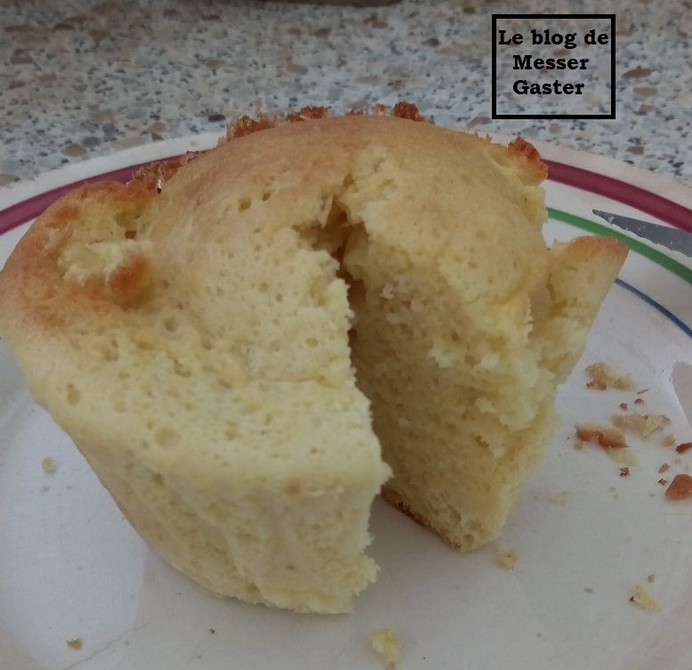 Grr... mon portable n'arrive pas à faire de beaux gros plans !