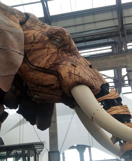 La petite Messergaster a été conquise par l'Elephant de l'Ile des Machines !