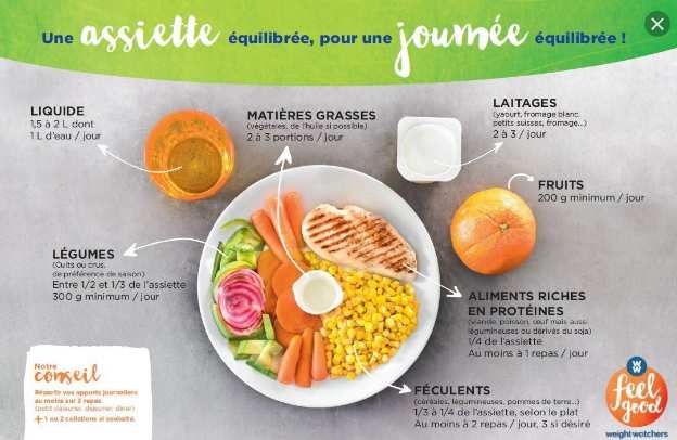 assiette  équilibrée  WW