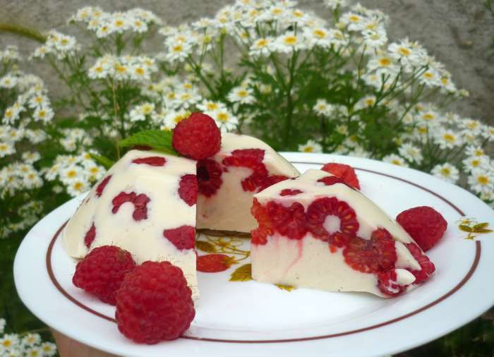 panna cotta aux framboises recette ww