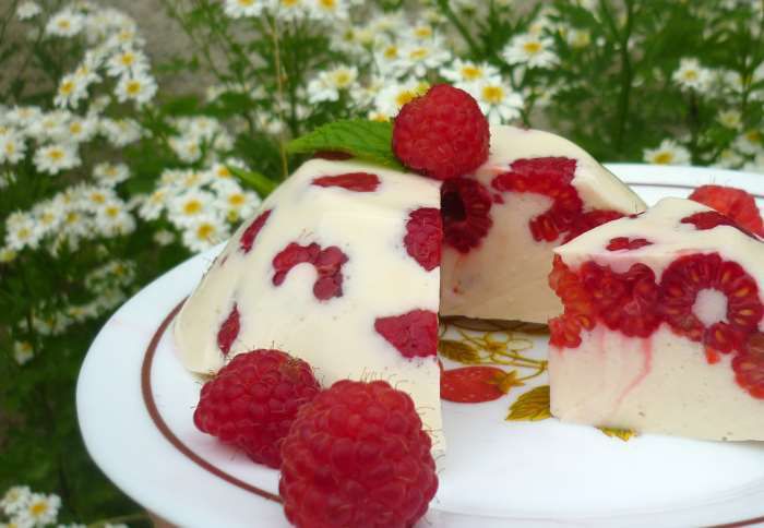 panna cotta aux framboises recette ww