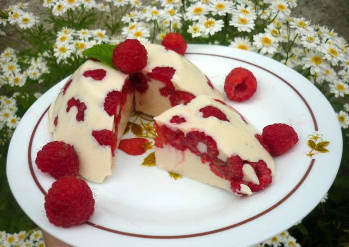 panna cotta fruitée weightwatchers