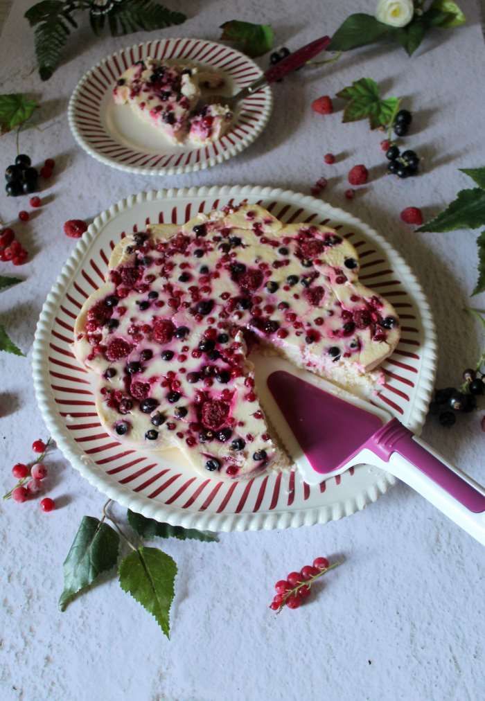 Skyrkuchen-fruits-weightwatchers