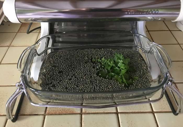 lentilles cuisson à l omnicuiseur