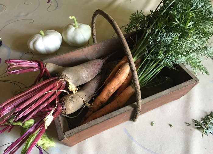 légumes du potager