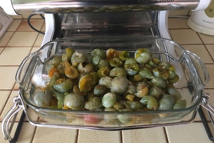 Aspic aux reine claude du verger à l omnicuiseur