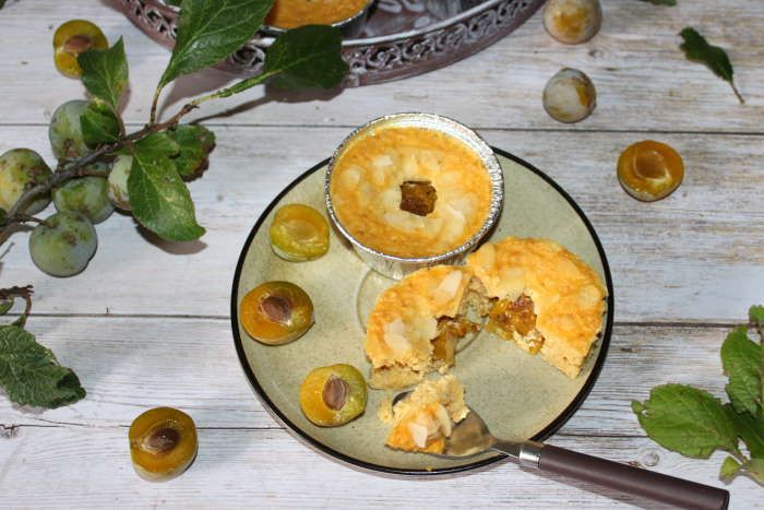 gateau flocons d'avoine et prunes à l omnicuiseur