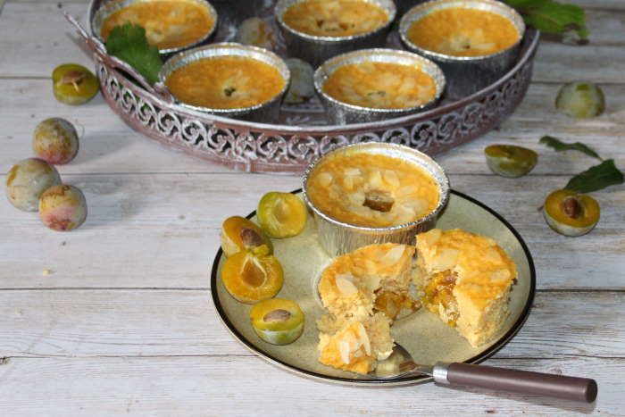 cake a l'avoine et aux fruits recette ww