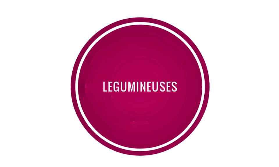 recettes-WW-légumineuses 