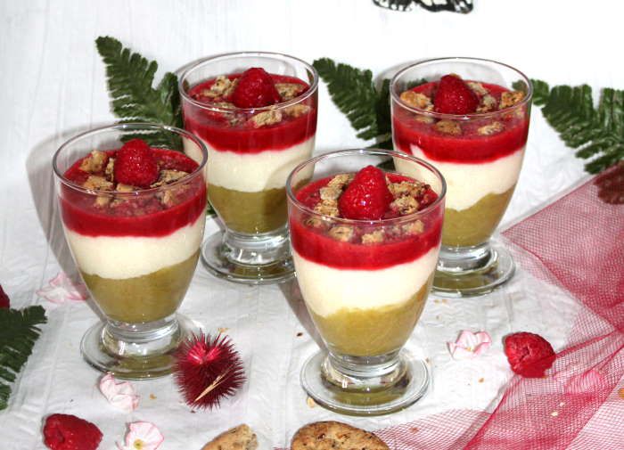 verrine-floraline-framboise-rhubarbe-recette-ww
