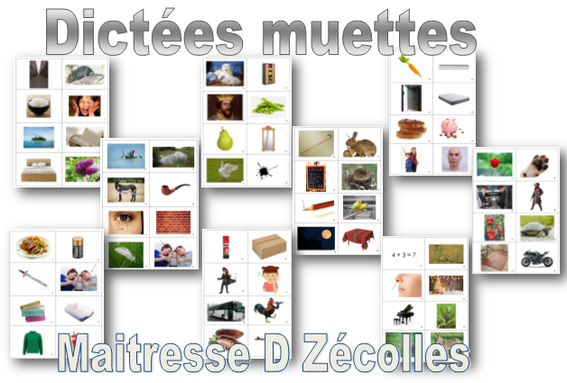 Dictées muettes - Mes tresses D Zécolles