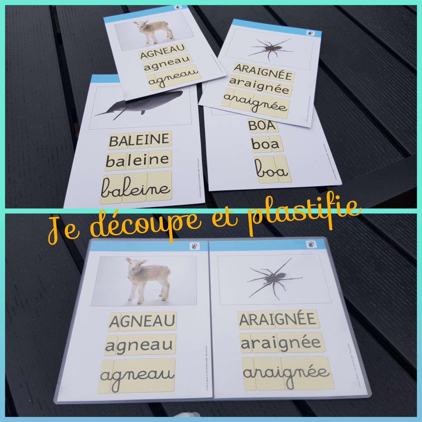 Cleo Gs Entree Dans L Ecrit Mes Tresses D Zecolles