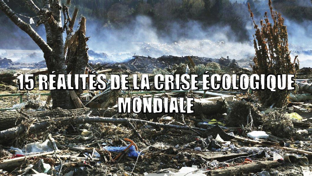 écologie environnement industrialisme