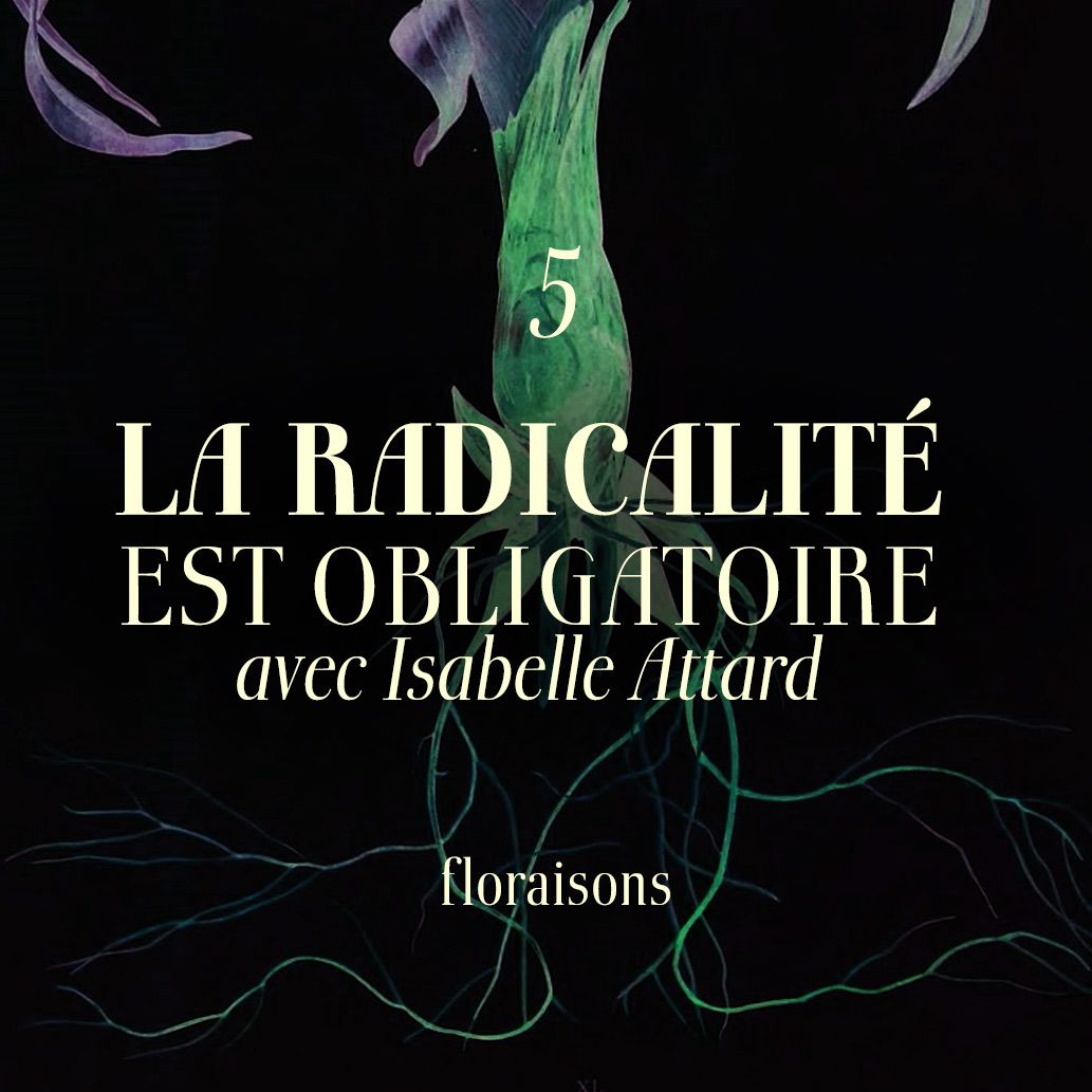 Anarchisme anarchie radicalité politique parlementarisme antiparlementarisme élection pouvoir démocratie
