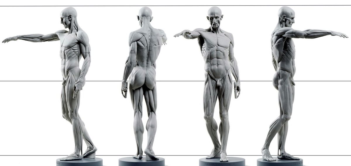 Homme musclé debout Ob_d0ce7a_houdon-ecorche-view