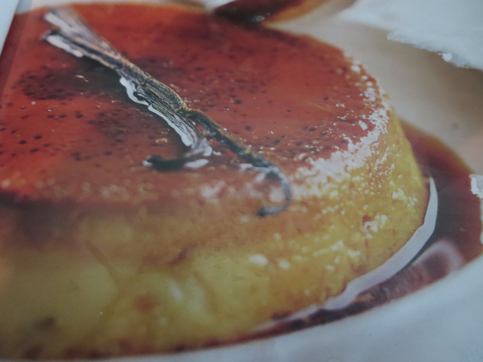 Le Thon C Est Bon Passion