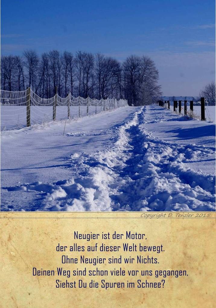 (754) tägliche Fotos – daily photo