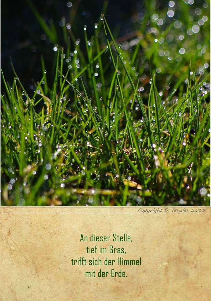 (848) tägliche Fotos – daily photo