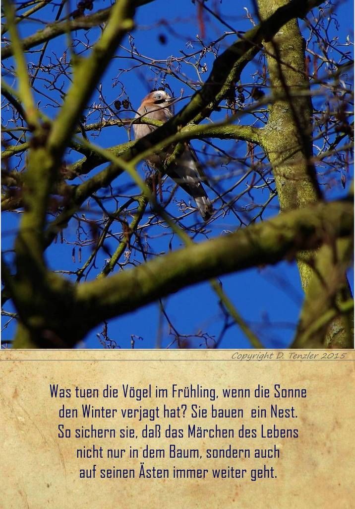 (846) tägliche Fotos – daily photo