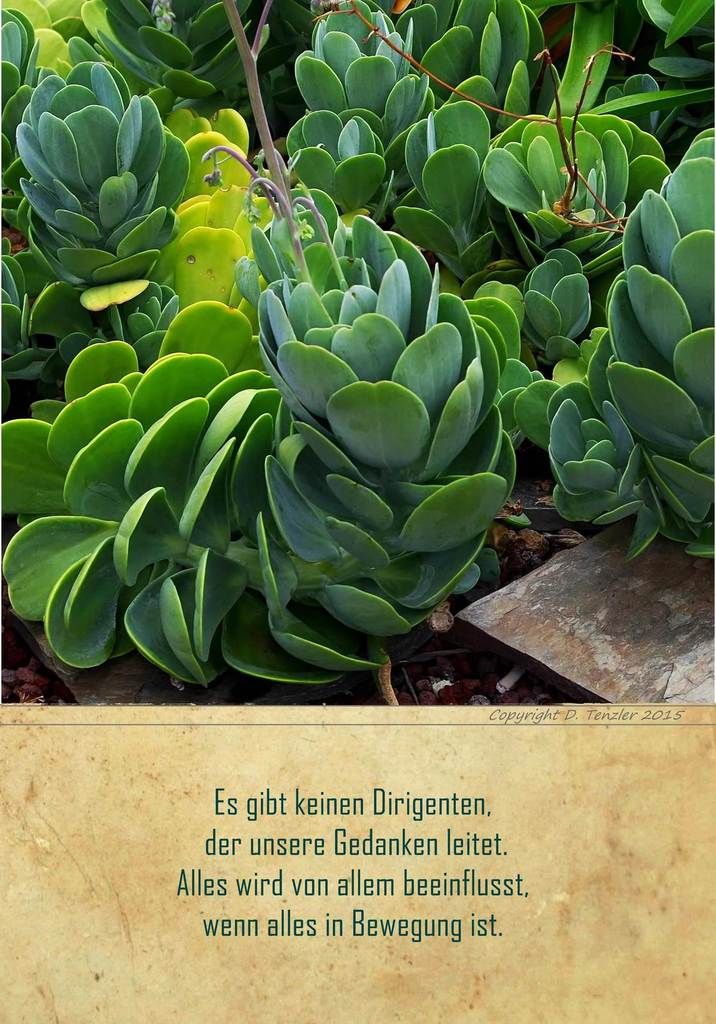 Es gibt keinen Dirigenten, der unsere Gedanken leitet. Alles wird von allem beeinflusst, wenn alles in Bewegung ist. - There is no conductor, directs our thoughts. Everything is influenced by everything, if everything is in motion. - No hay conductor, dirige nuestros pensamientos. Todo está influenciado por todo, si todo está en movimiento.