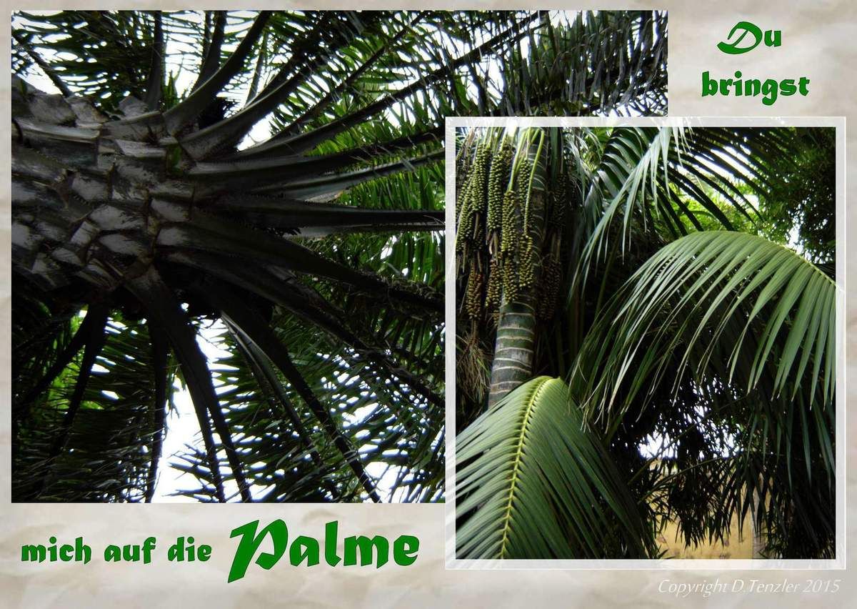 Was ist es für Kraft, die uns antreibt, alles um uns herum zu erforschen? Was zwingt uns alles zuverstehen, zu begreifen und anzufassen? - What it is for power that drives us, everything around us to explore? What compels us-understand everything, to understand and to handle? - ¿Cuál es el poder que nos impulsa, todo a nuestro alrededor para explorar? Lo que nos obliga-entendemos todo, de entender y de manejar?