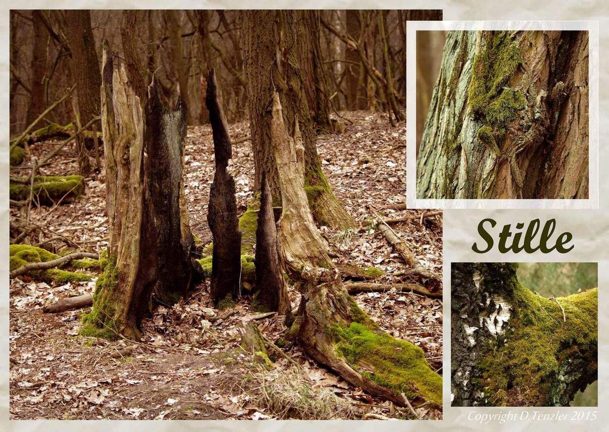 Man sieht einen Diamanten und bewundert ihn, ohne sich im Klaren zu sein, was ein Stück Kohlenstoff durchmachen musste, um zu einem strahlen Schmuckstück werden zu können. - One sees a diamond and admired him, without being themselves aware of what a piece of carbon had to go through in order to emit a Jewel will be able to. - Uno ve un diamante y le admiraban, sin ser conscientes de sí mismos lo que es un pedazo de carbón tuvo que pasar por el fin de emitir un Jewel será capaz de hacerlo.