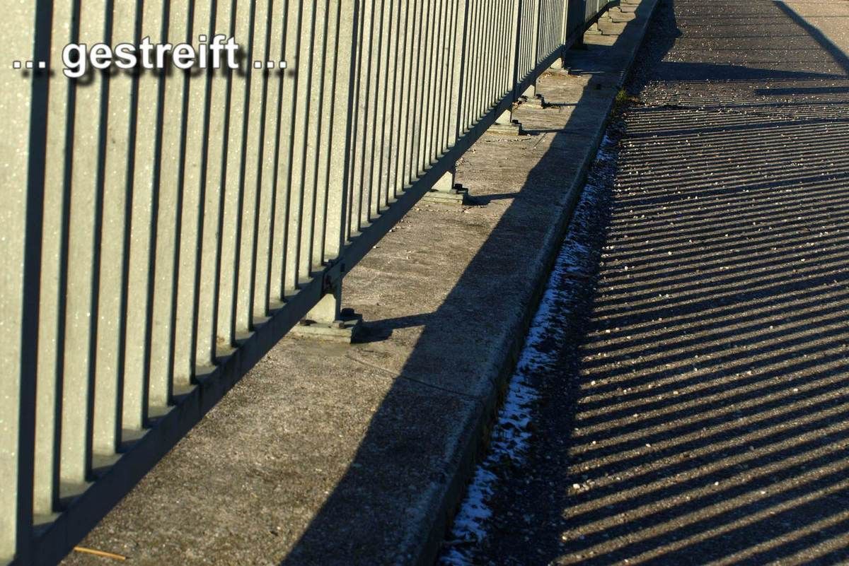 (1331) tägliche Fotos – daily photo 16.8.2016 – gestreift