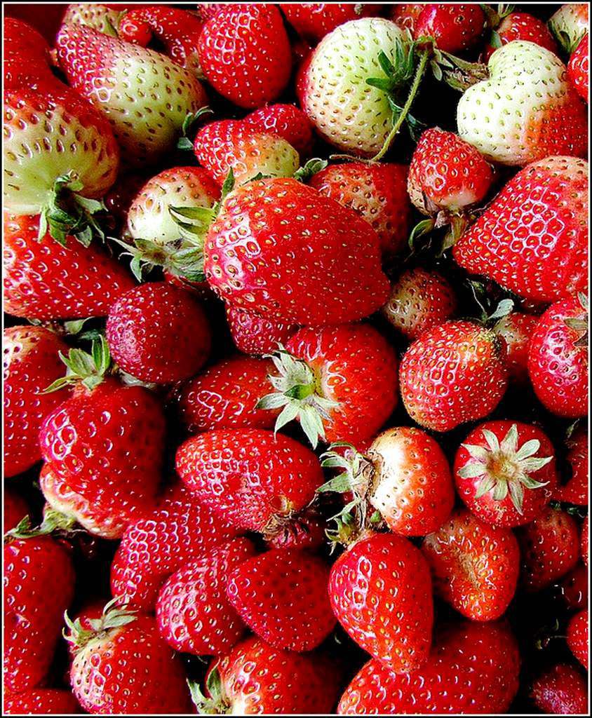Les fruits - fraises