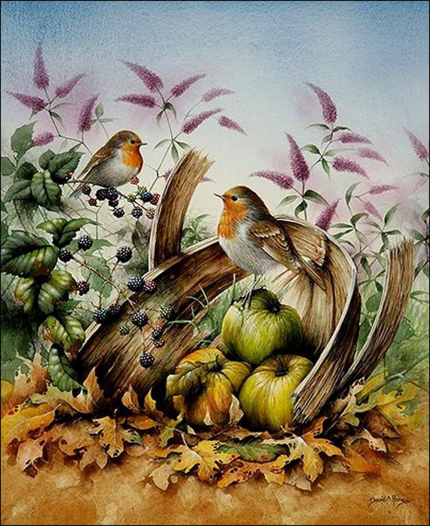 Oiseaux en peinture - David Finney